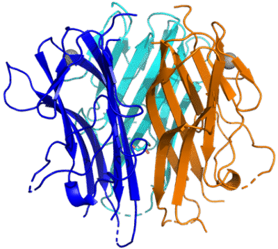 Sygnature TL1A [C95S/C135S] Structure