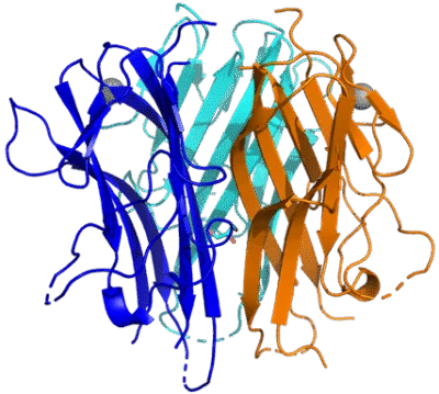 Generating a TL1A Crystal Structure