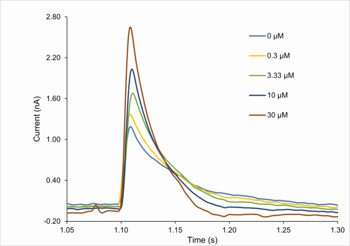 Graph showing TMEM175 current traces measured using solid-supported membrane electrophysiology in the presence of increasing concentrations of DCPIB, illustrating lysosomal ion channel modulation.
