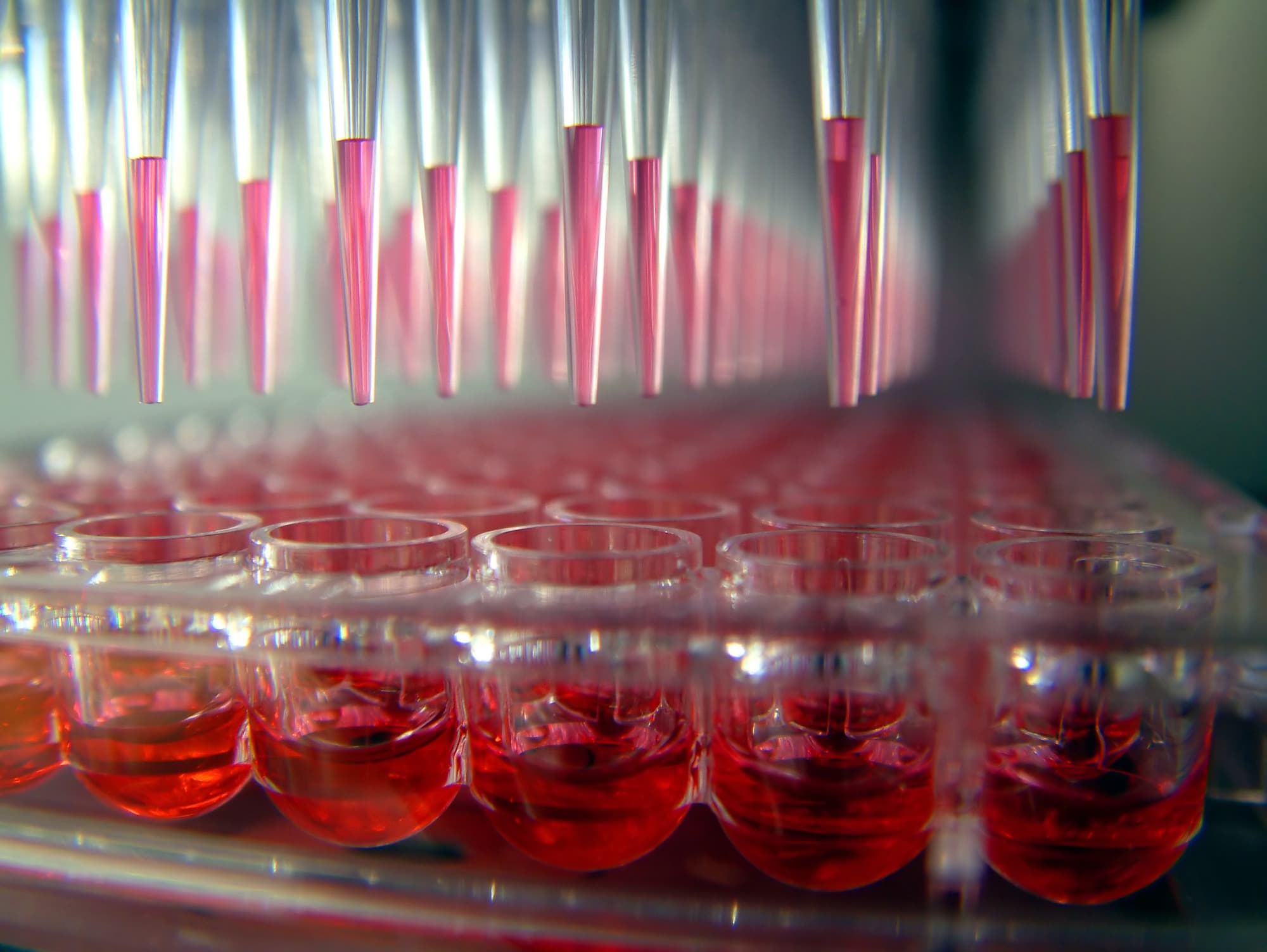 Rows of glass vials containing samples for analytical method development and bioanalysis, supporting pharmacokinetic and safety assessments.
