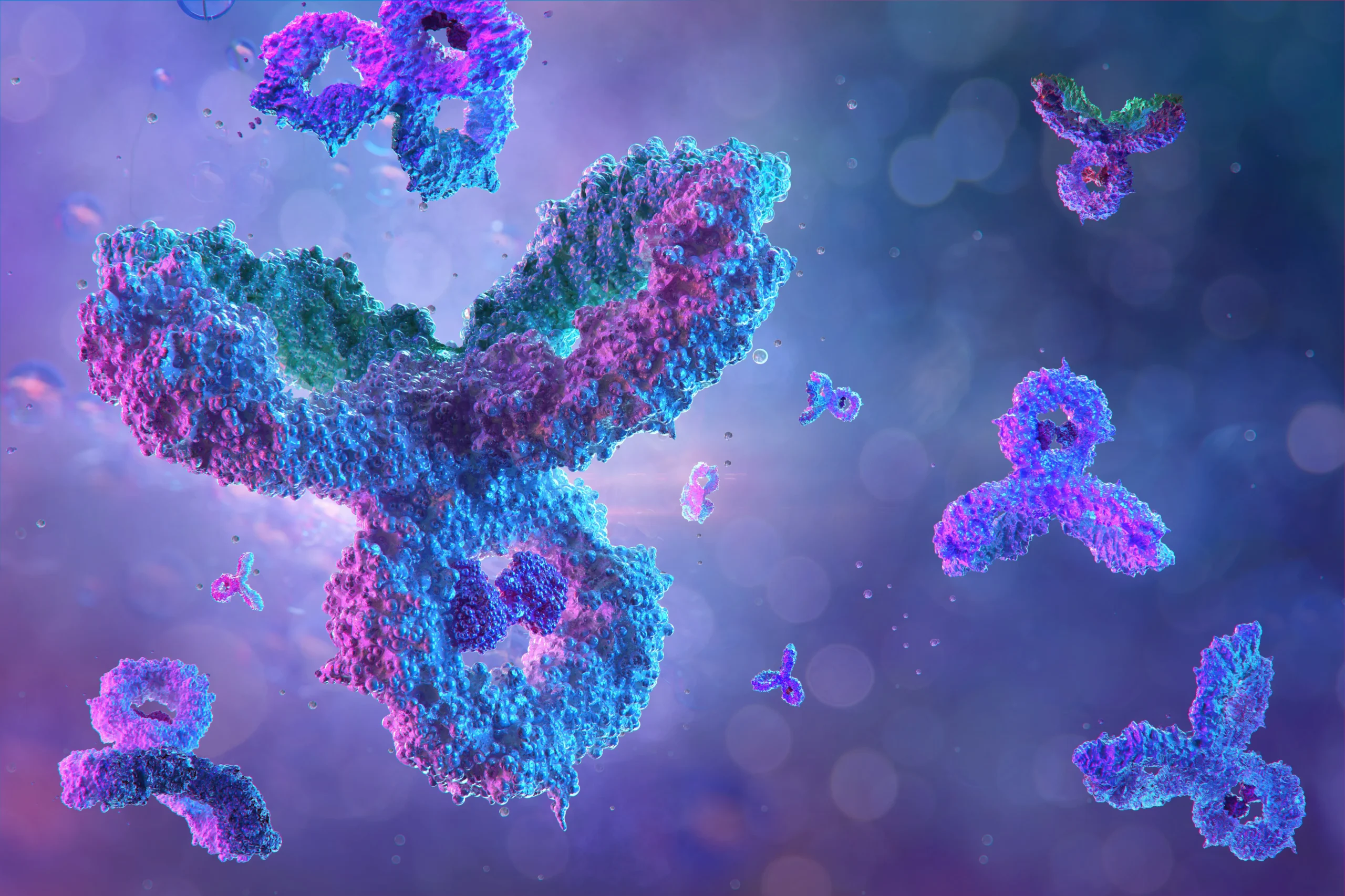 3D molecular rendering of antibodies interacting with antigens, illustrating biotherapeutic development and ADC mechanisms