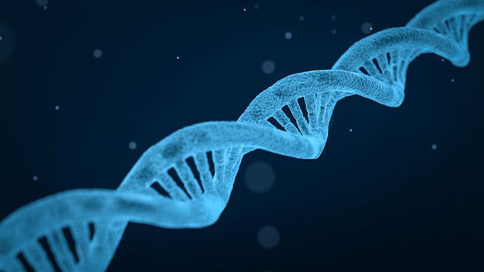 Close-up image of a blue DNA double helix strand on a dark background, representing bioinformatic database integration for accurate biological interpretation and decision-making.
