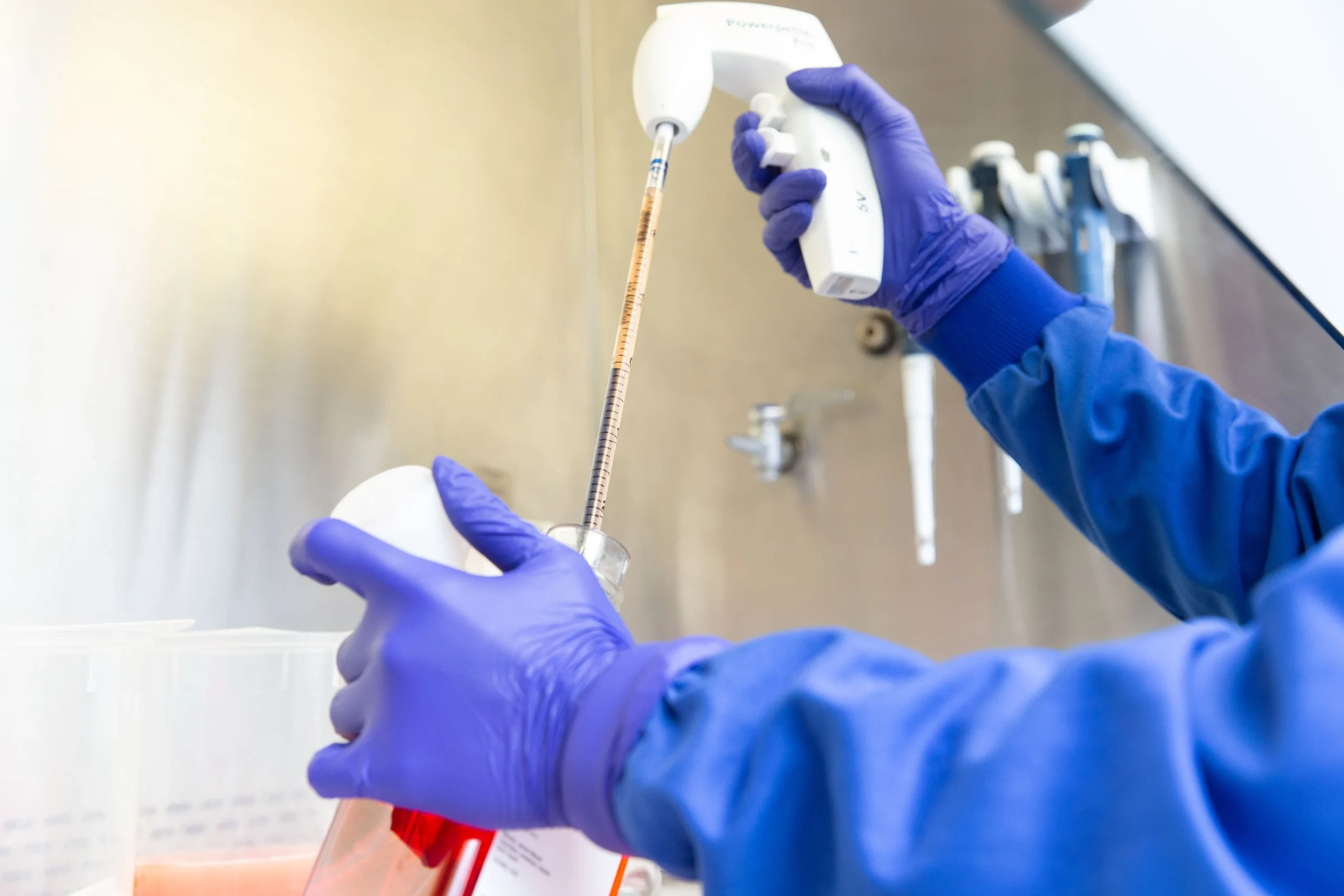 Gloved hands performing pipetting in a sterile laboratory environment, representing advanced cell line generation and recombinant systems for drug discovery.