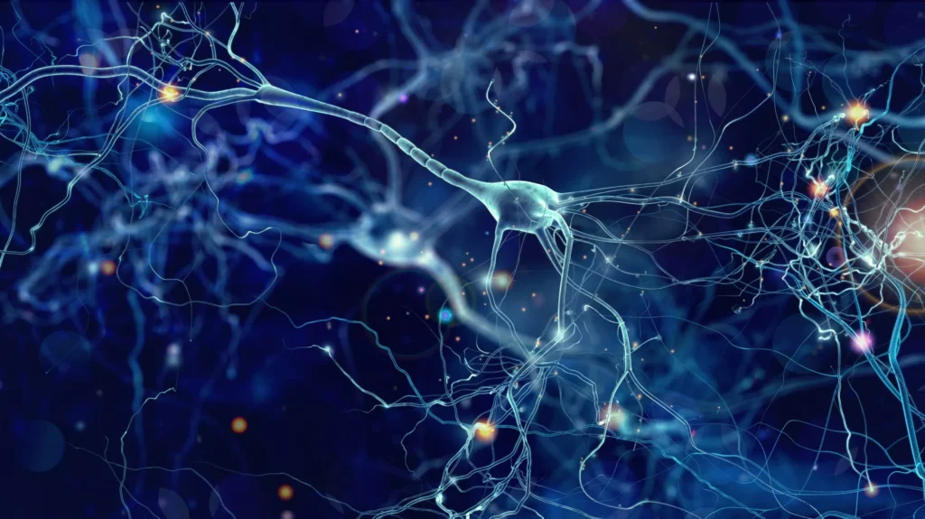 diagram illustration of interconnected neurons representing central nervous system drug discovery, highlighting neural pathways and synaptic connections for therapeutic research.