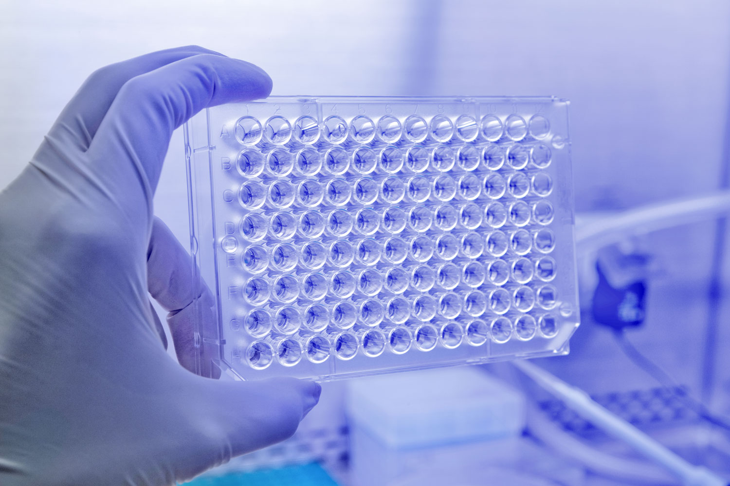 Plaque multipuits utilisée pour le criblage à haut débit de fragments dans la découverte de médicaments basée sur les fragments