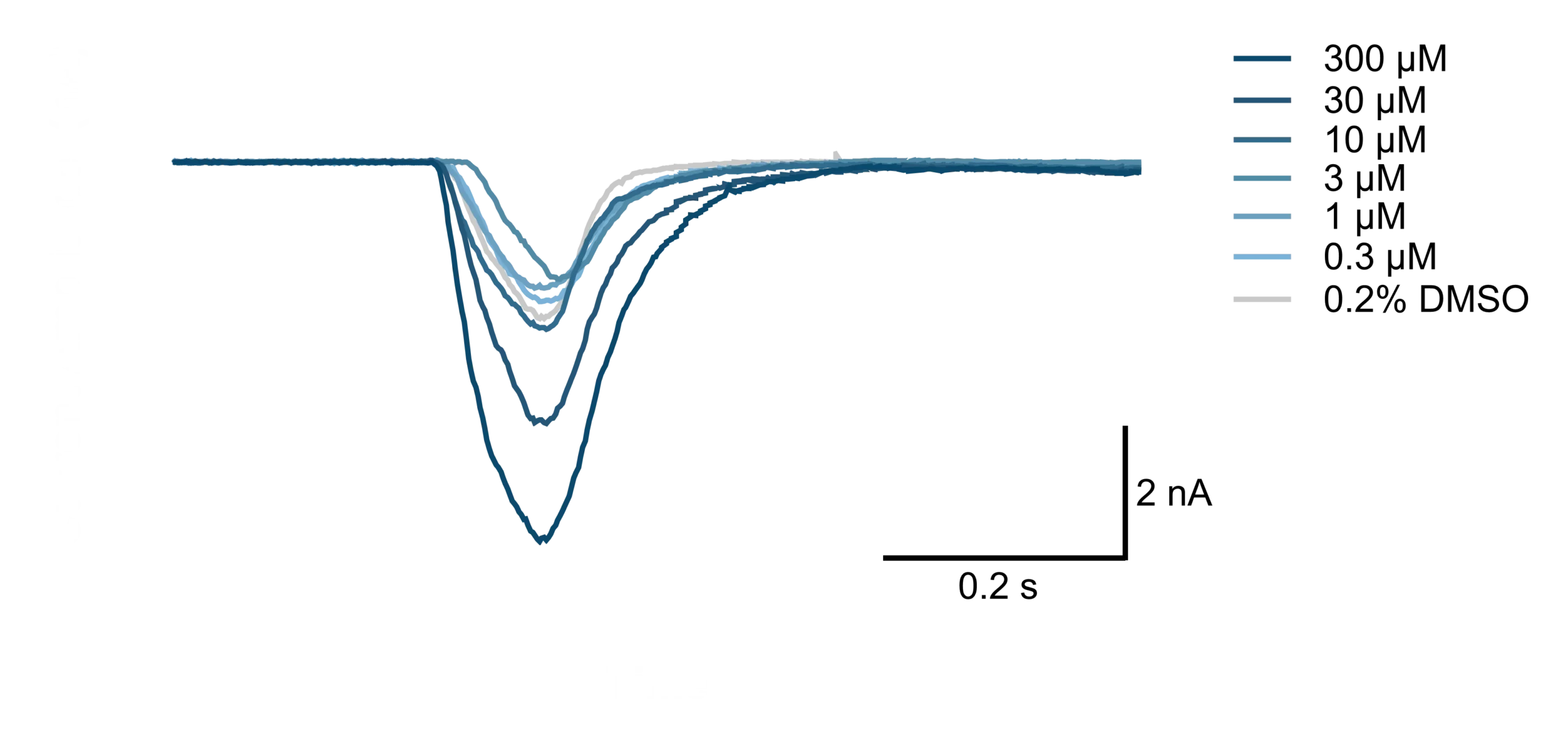 Electrophysiology traces showing glycine receptor currents before and during increasing concentrations of cannabidiol, illustrating flexible assay formats for hit identification and lead optimization.