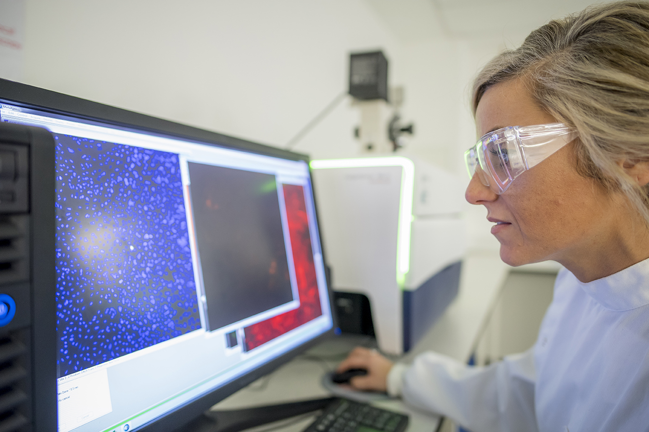 Computer interface showing high-content screening data and cell imaging, illustrating automated analysis for complex biological studies.