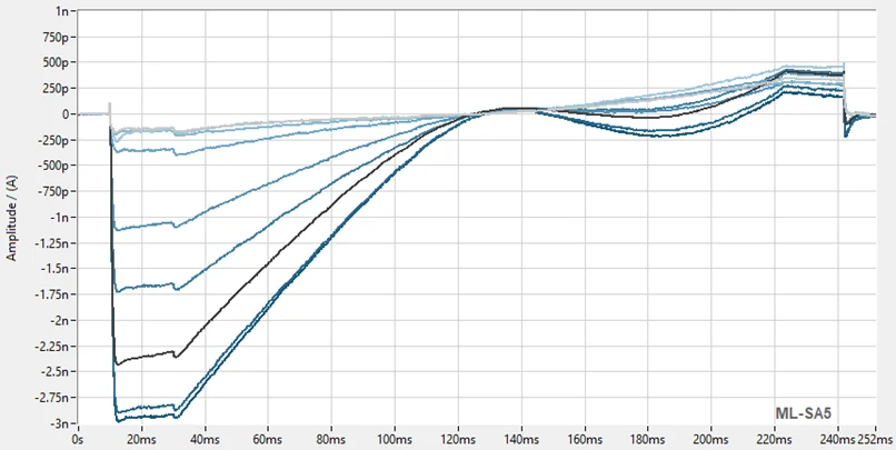 Line graph displaying multiple superimposed whole‑cell current traces recorded during increasing concentrations of ML SA5. The x‑axis represents time and the y‑axis shows current amplitude. Each trace curves upward with increasing activation, with higher concentrations producing progressively larger current responses. The traces overlap in a family of curves, illustrating dose‑dependent activation of TRPML1.