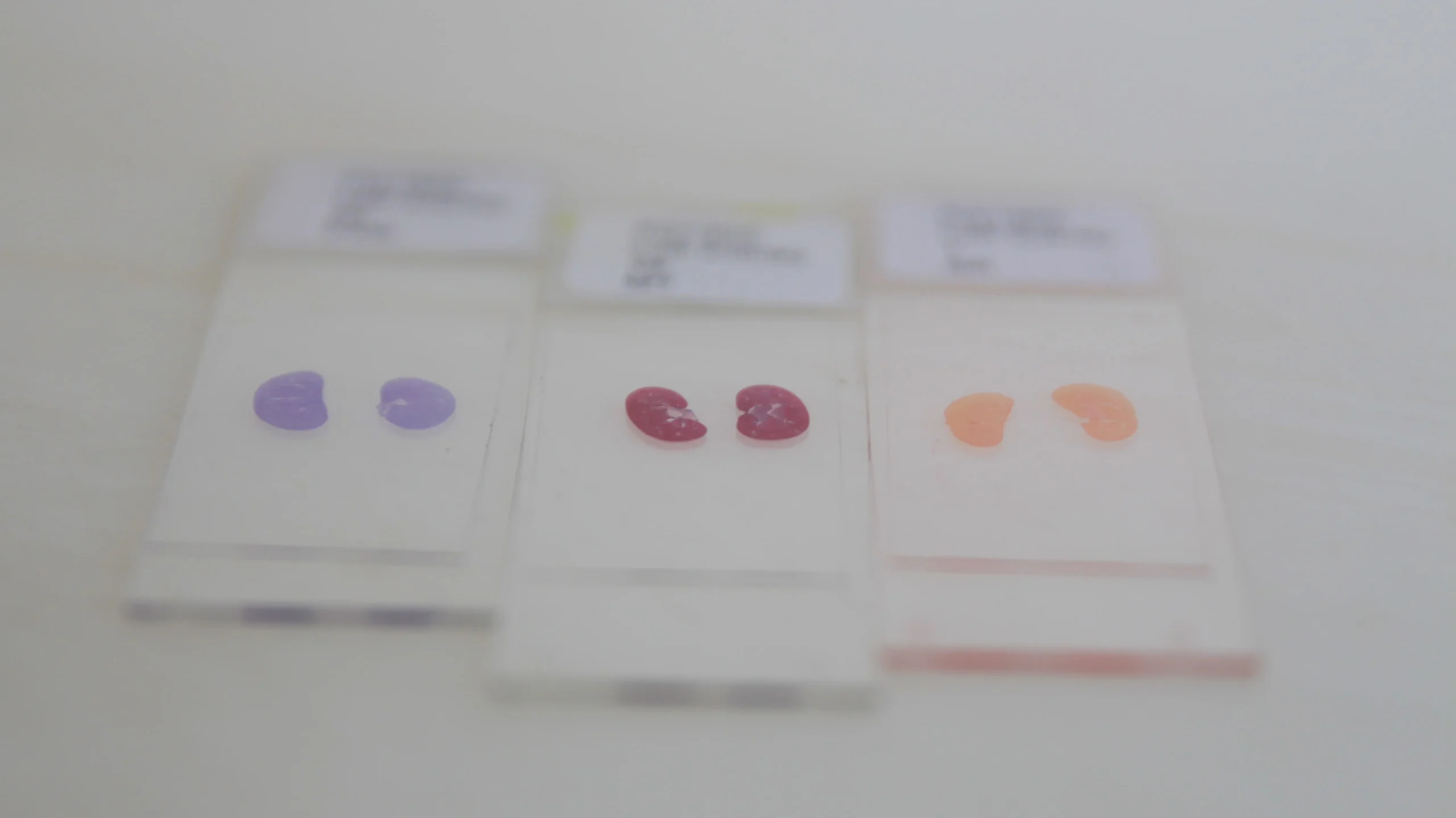 Laboratory cards displaying colored spots for in vivo pharmacokinetic and pharmacodynamic studies, illustrating compound profiling and data generation.