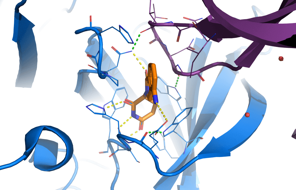 3D molecular visualization showing blue and purple ribbon structures with ligand docking, illustrating LeadFinder Prism screening library for in silico compound evaluation and biological testing.