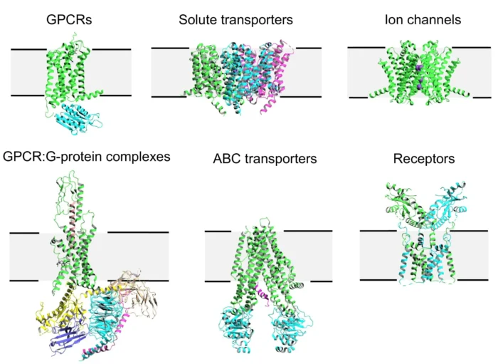 Illustration of membrane protein targets including GPCR complexes, solute transporters, ion channels, ABC transporters, and receptors for structural biology and drug discovery.