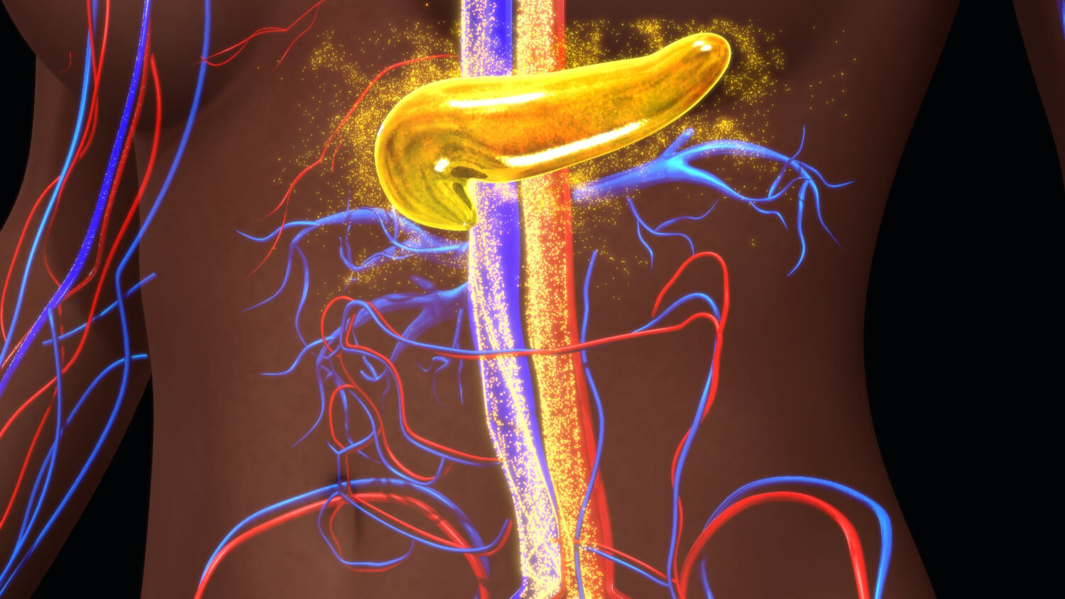 Illustration of metabolic pathways and cellular structures, supporting research into metabolic disease treatments.