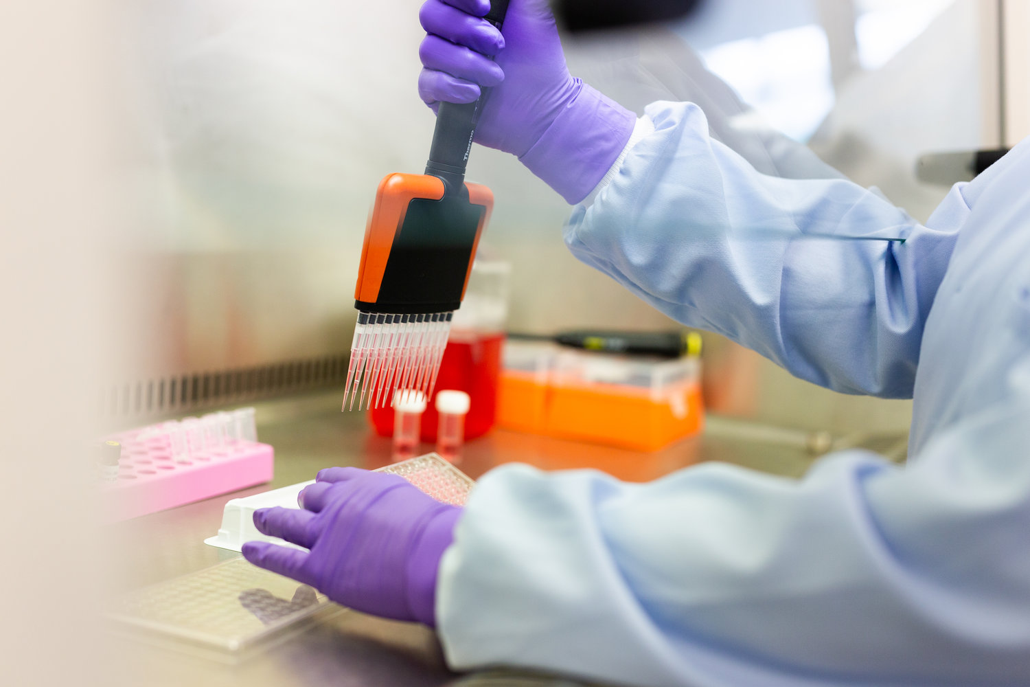 Laboratory setup showing gloved hands using a multi-channel pipette to dispense samples into a microplate, representing analytical method development and bioanalysis for complex biological matrices.