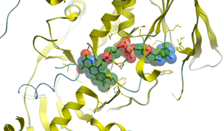 3D molecular visualization of LSD1 protein model showing spurious auto-inhibition with cyan peptide sequence, illustrating structural assessment for model quality and drug design utility.