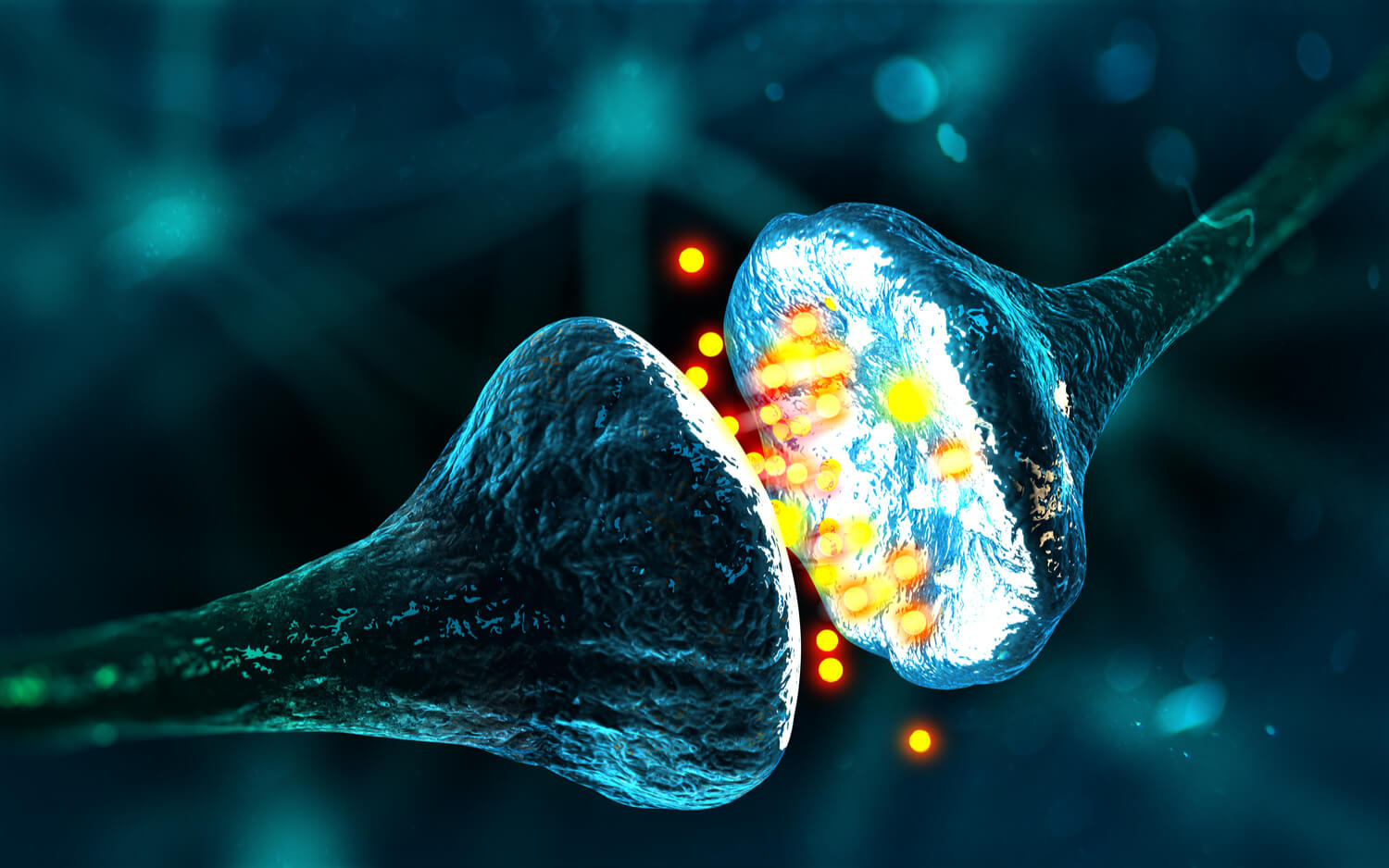 Close-up illustration of a neuron and synapse, representing neuroscience research for CNS drug discovery.