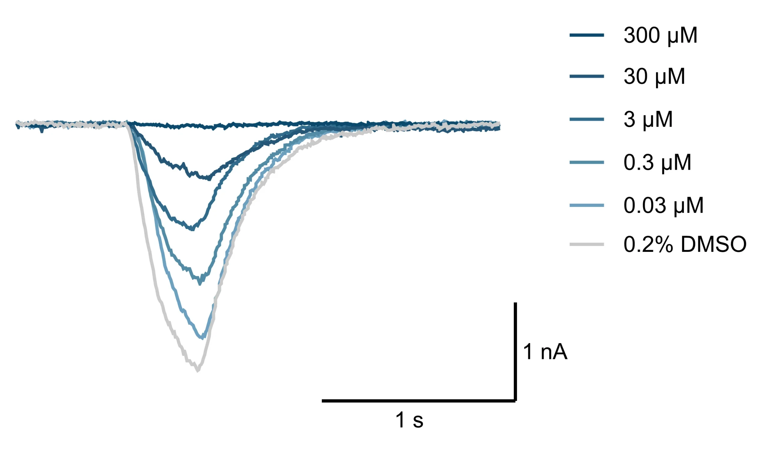 Electrophysiology traces showing nicotinic receptor currents before and during increasing concentrations of dihydro-beta-erythroidine, illustrating flexible assay formats for reliable receptor profiling.