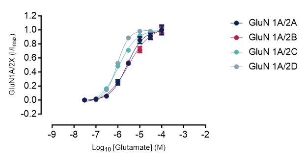 Graph showing glutamate concentration-response curves for NMDA receptor subtypes using automated patch clamp, illustrating functional characterization for pharmacological profiling.