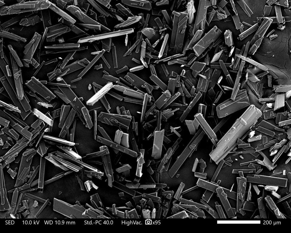 Black and white crystalline structures viewed under magnification, illustrating polymorph screening to identify stable and manufacturable forms for drug development.
