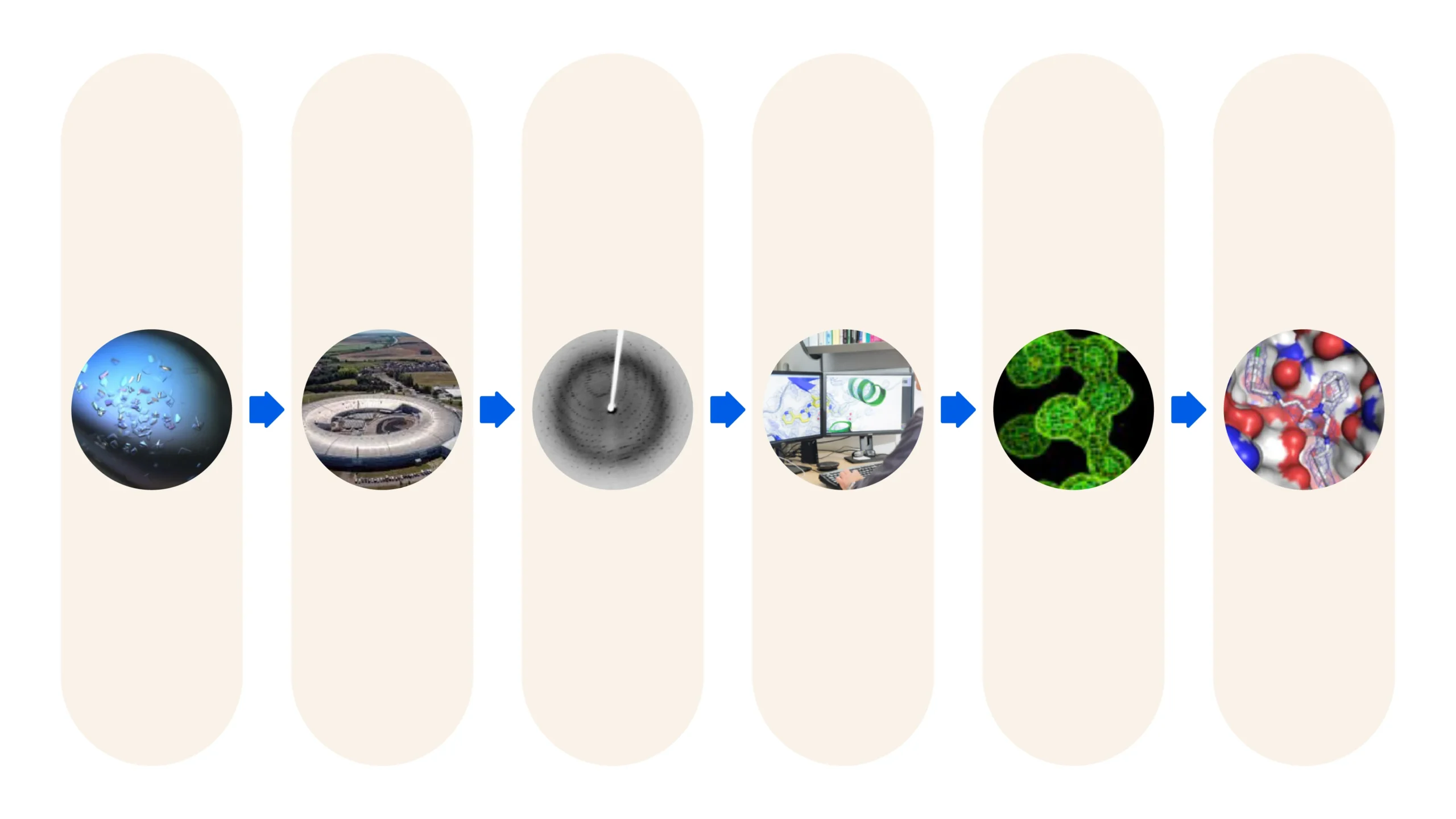 Graphic illustrating the iterative process of protein crystallography with Stop/Go decision points, showing sequential stages from expression testing to crystallization and structural optimization.