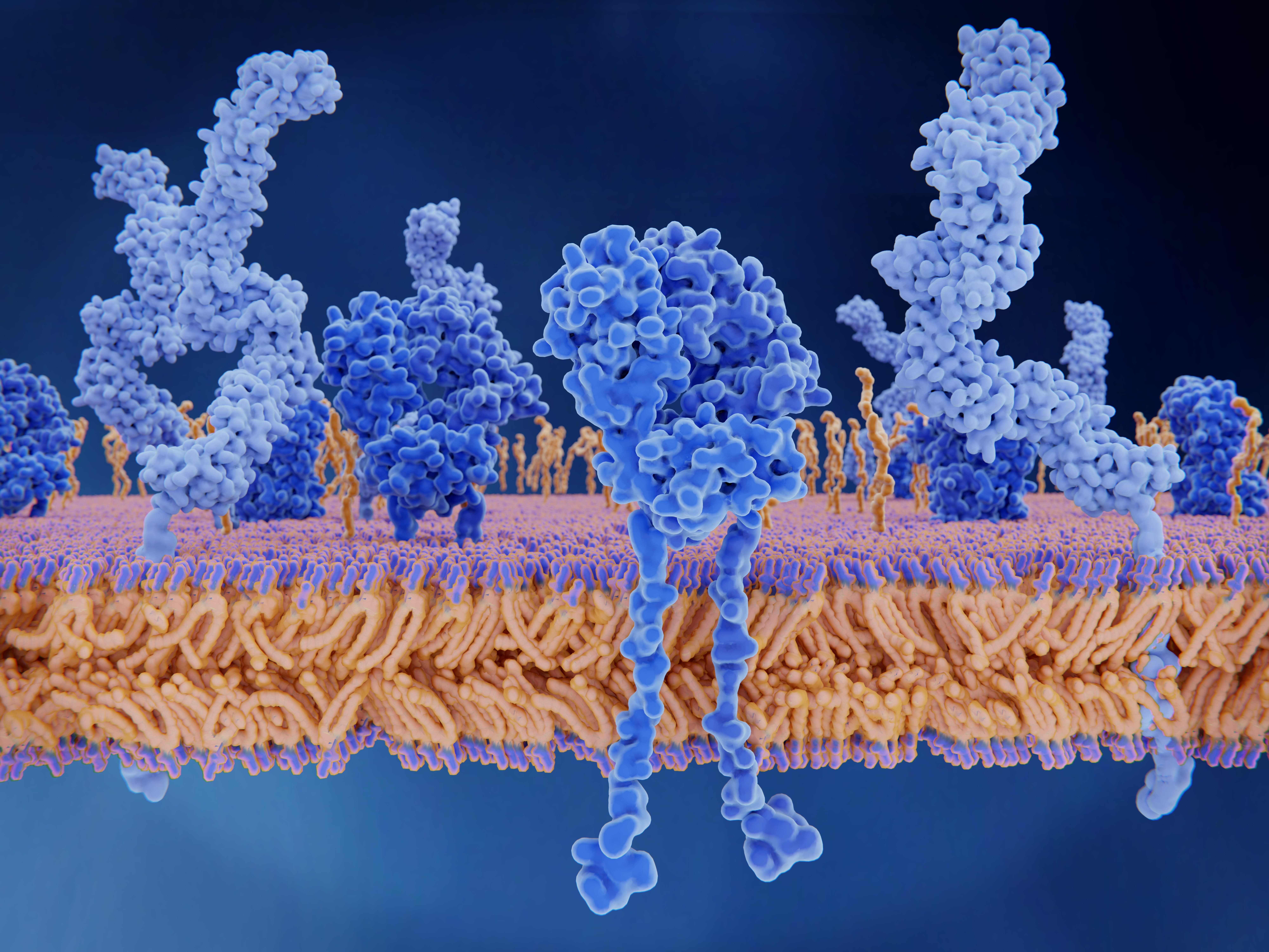 3D visualization of protein structures interacting with a cell membrane, representing protein expression and purification processes for applications in biotherapeutics, diagnostics, and structural biology.