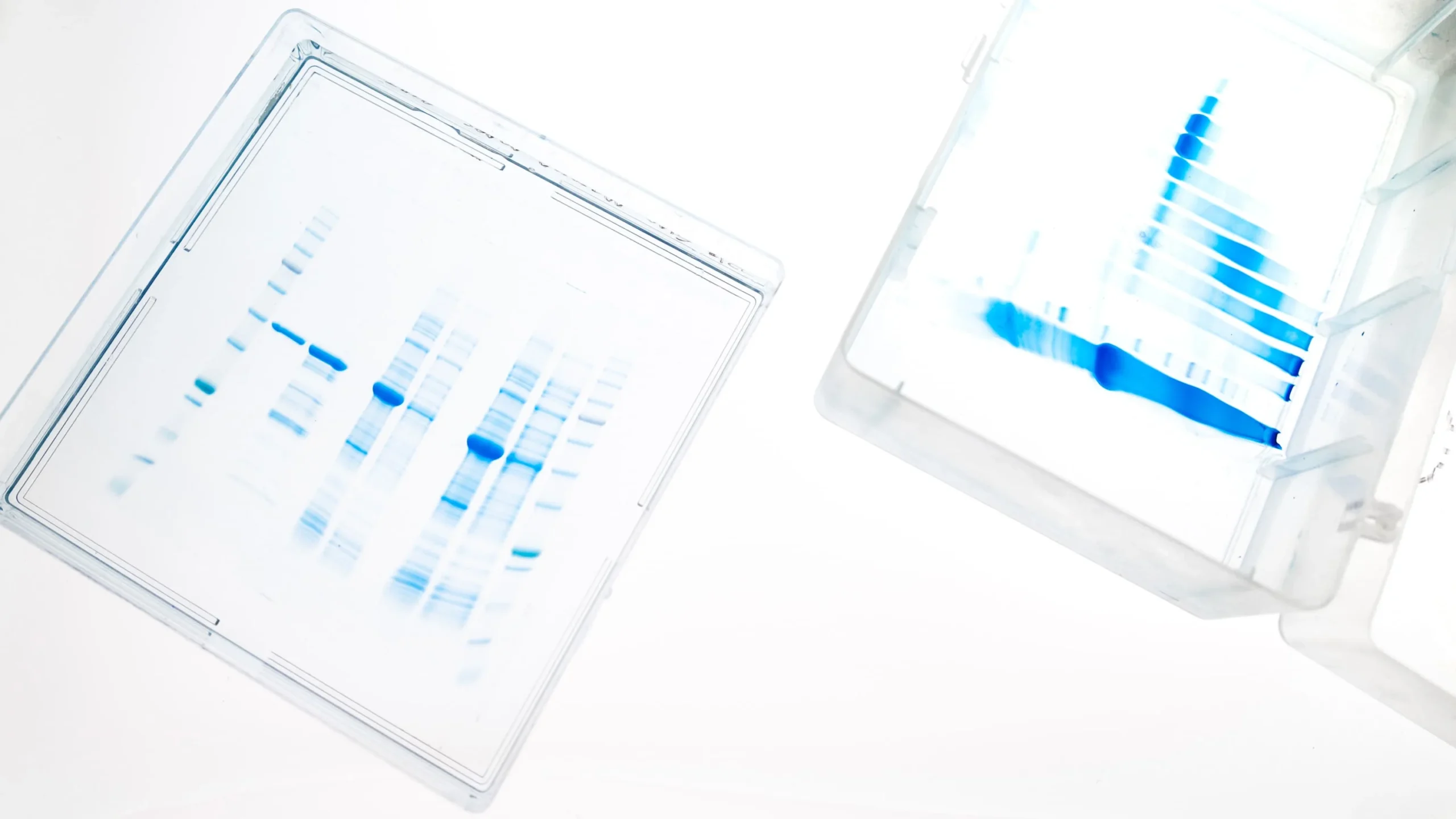 Electrophoresis gel showing protein purification strategies using affinity tags and tailored protocols.