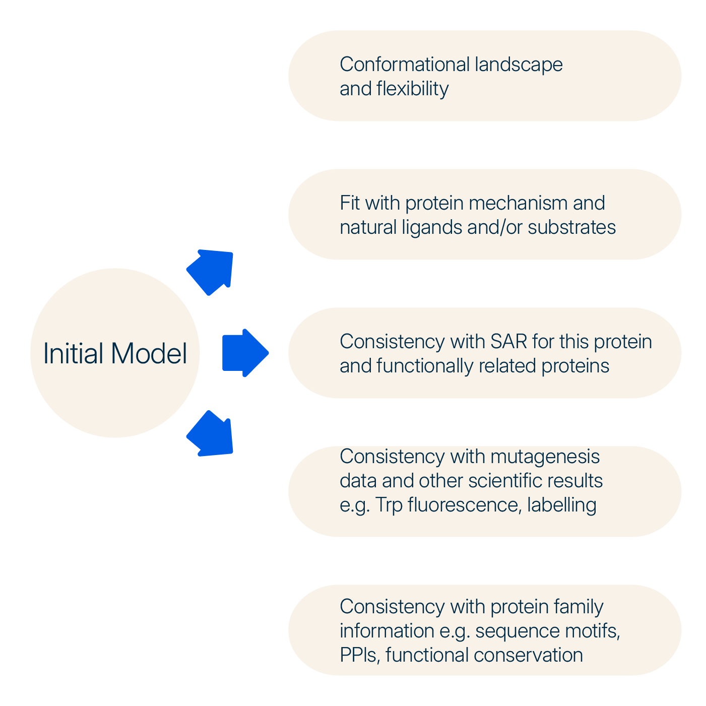 Diagram showing evaluation of initial protein structure models for drug discovery, including checks for conformational flexibility, SAR consistency, mutagenesis data alignment, and protein family conservation.