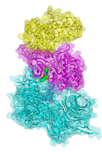 Visualisation moléculaire 3D d'un complexe protéique ternaire en jaune, rose et cyan, illustrant une modélisation avancée pour la prédiction ternaire afin de permettre des cibles médicamenteuses exploitables.
