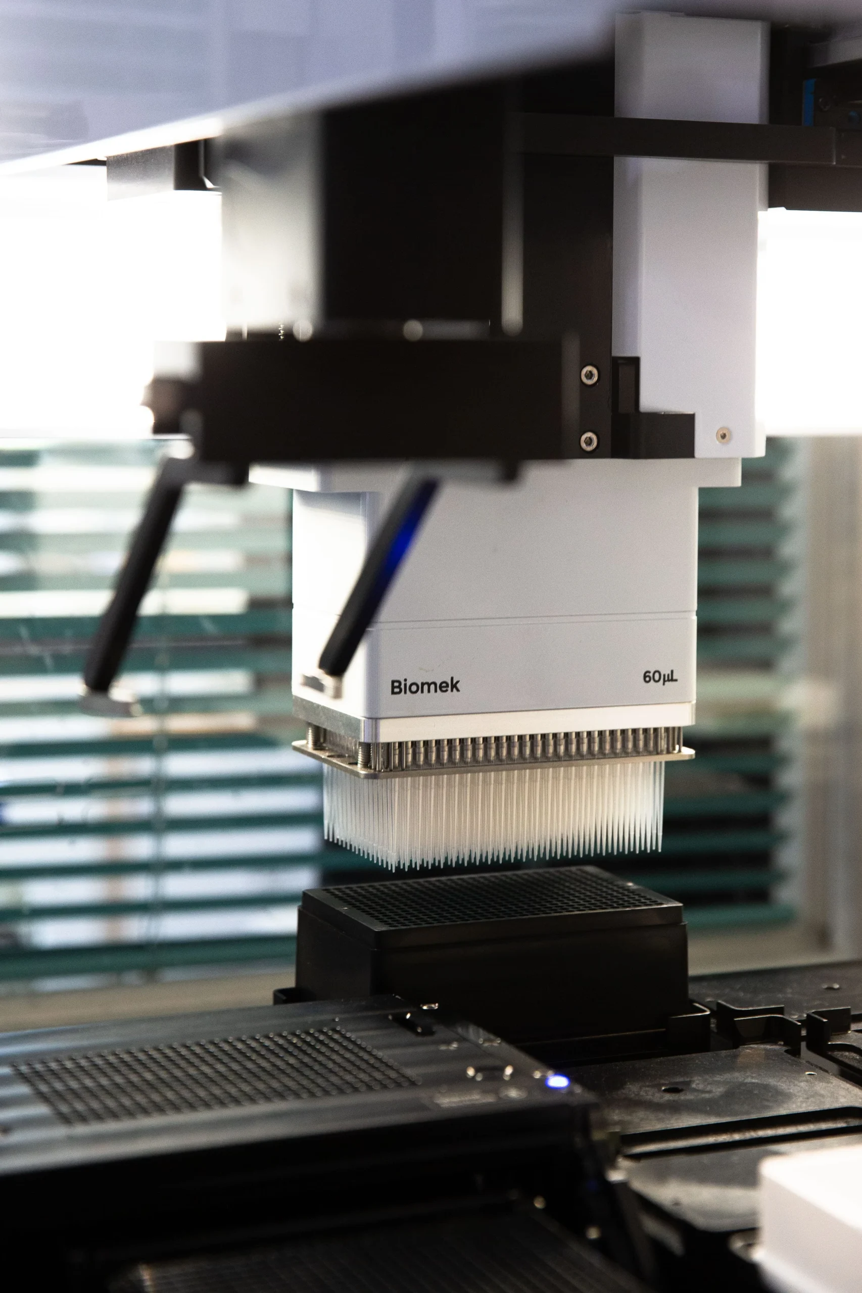Close-up of an automated laboratory instrument with a multi-channel pipette dispensing samples into a microplate, representing high-throughput electrophysiology screening for safety and selectivity panels in drug discovery.