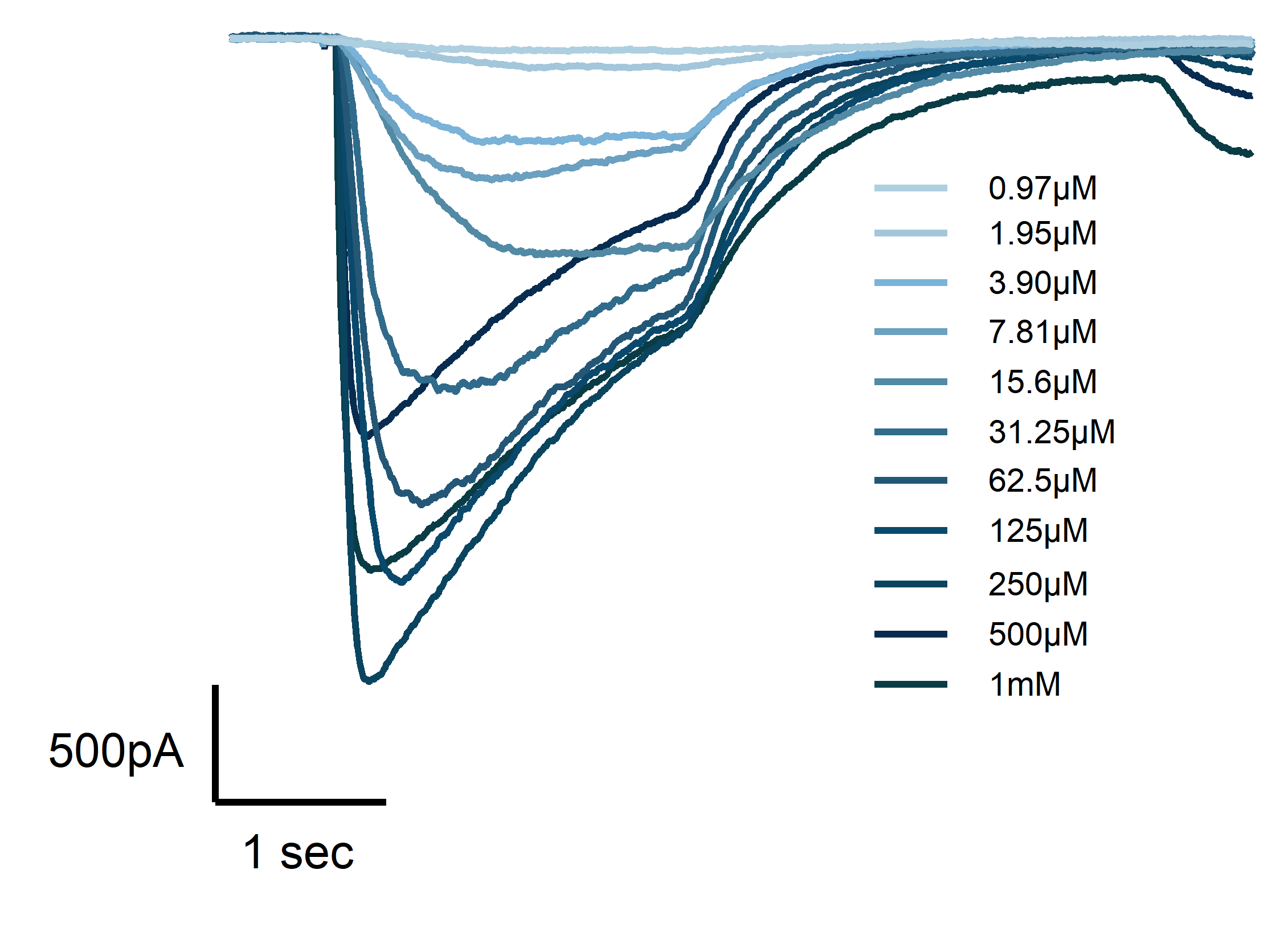 Electrophysiology traces from iPSC-derived sensory neurons showing GABAA receptor function and stability, supporting translational relevance in drug discovery.