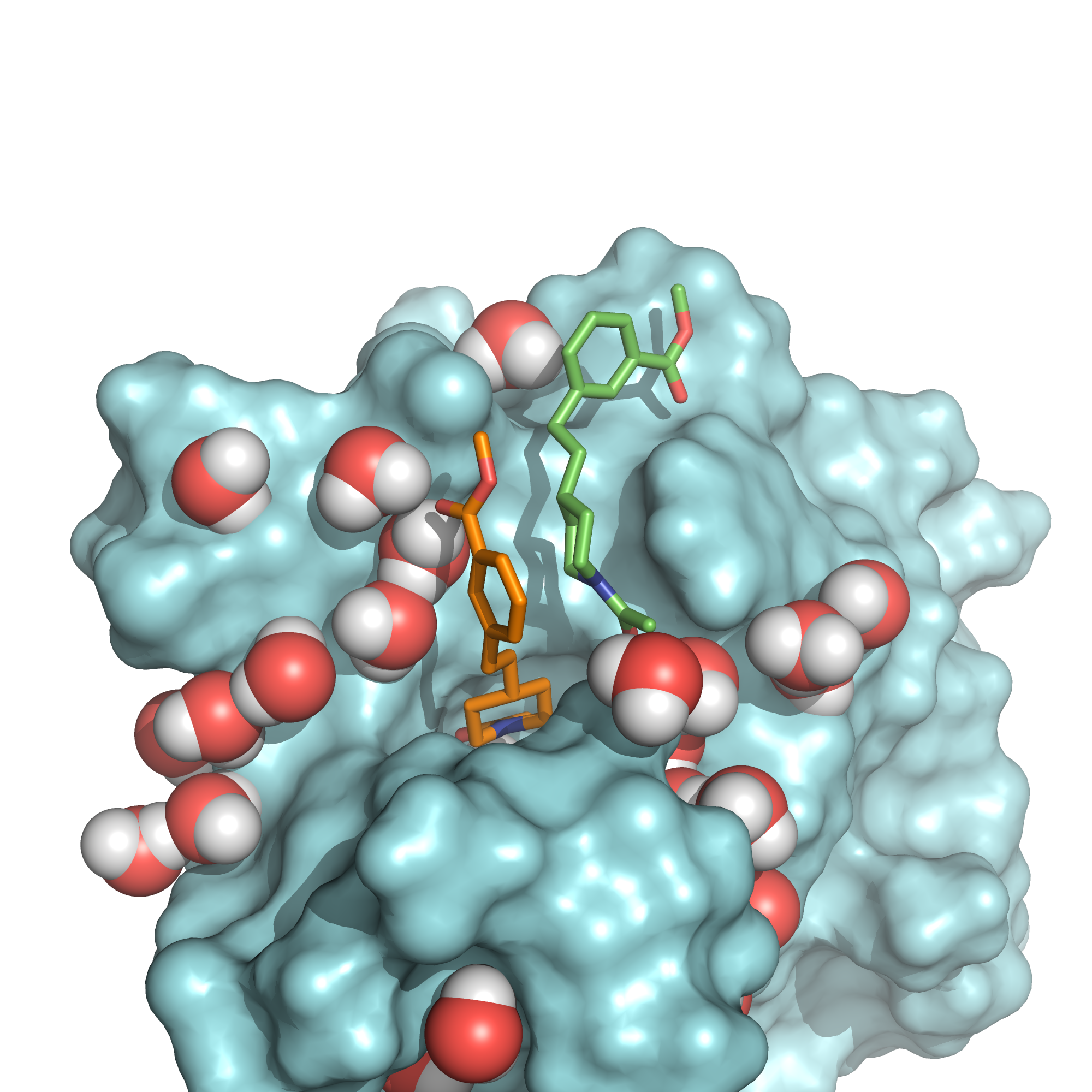 3D molecular visualization showing binding site identification and druggability assessment, highlighting structural features for rational drug design.