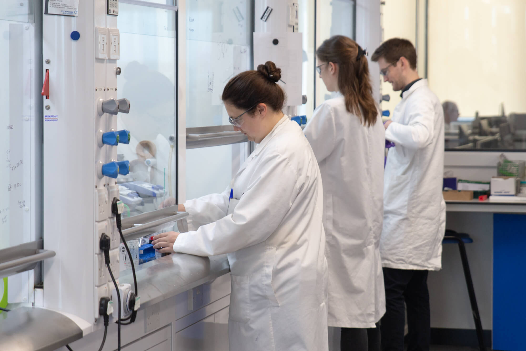 Scientists working with advanced laboratory equipment to progress from hit identification to lead optimization in drug discovery.