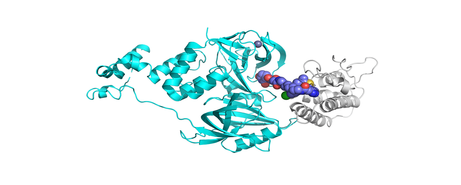 3D molecular visualization representing PROTACs and molecular glue modelling, supporting targeted protein degradation strategies in drug discovery.