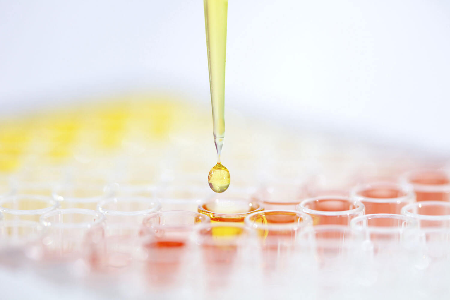 Close up of a pipette dispensing liquid into a multiwell plate, representing laboratory research and therapeutic area expertise in drug discovery.