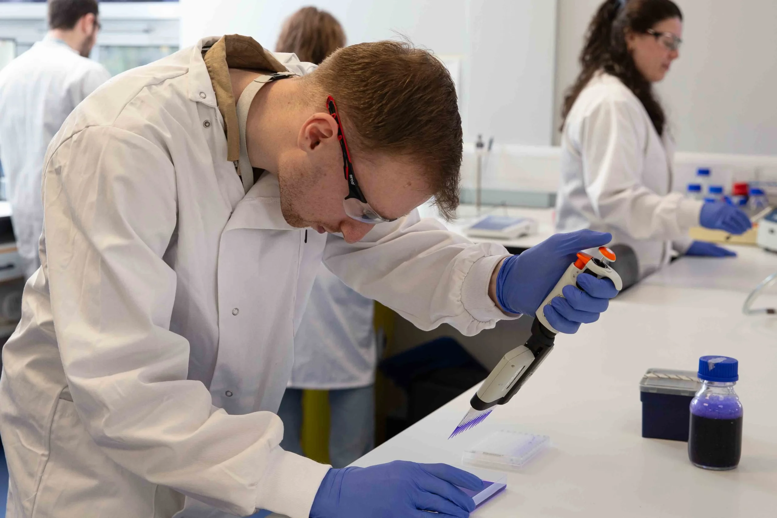 Researchers conducting transporter assays with precision pipetting techniques to study compound uptake and efflux mechanisms.