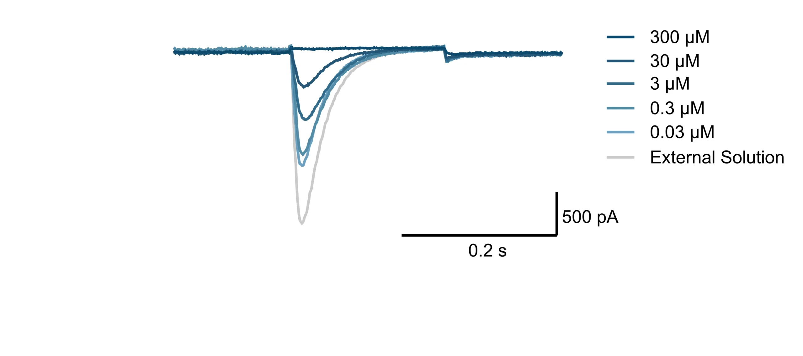 Electrophysiology traces showing Cav3.2 calcium channel currents before and during increasing concentrations of verapamil, illustrating flexible assay formats for high-throughput screening and lead optimization.