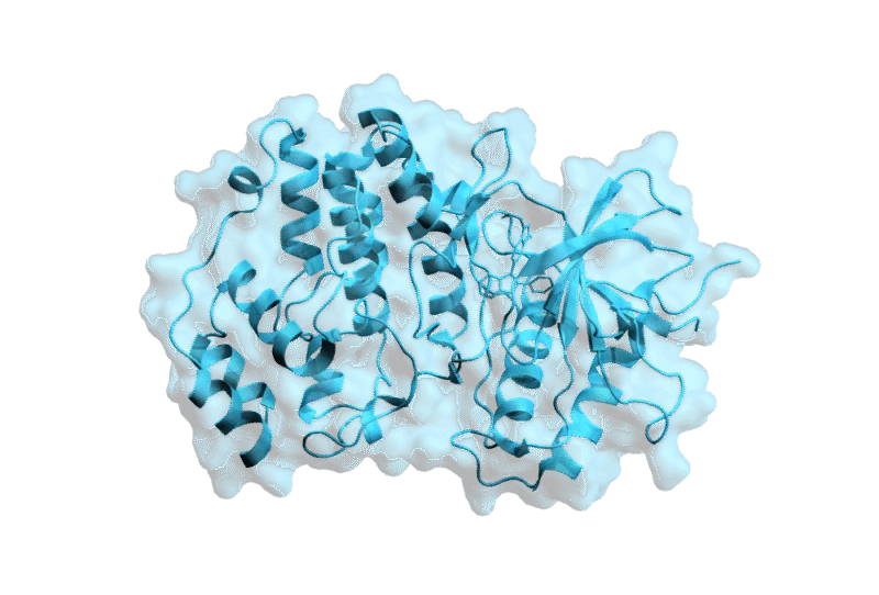 Separating Phosphorylation States of a Kinase Using Ion Exchange Chromatography