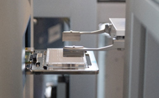 High Throughput Screening