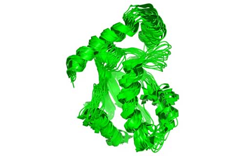 Molecular Dynamic Simulations