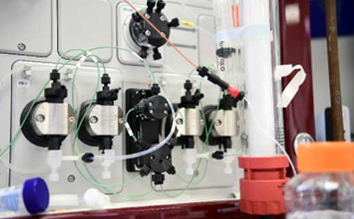 Protein Purification