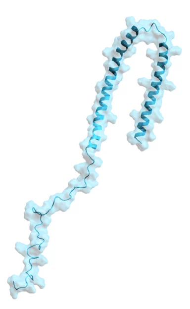 Alpha Synuclein : An Intriguing Little Protein (Mini Review)