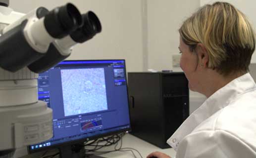 in vivo Pharmacology