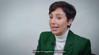 Feature image for Episode 3 of the #MitochondriaUnlocked series, focusing on how kinetic experiments reveal dynamic mitochondrial behaviour and organelle complexity.