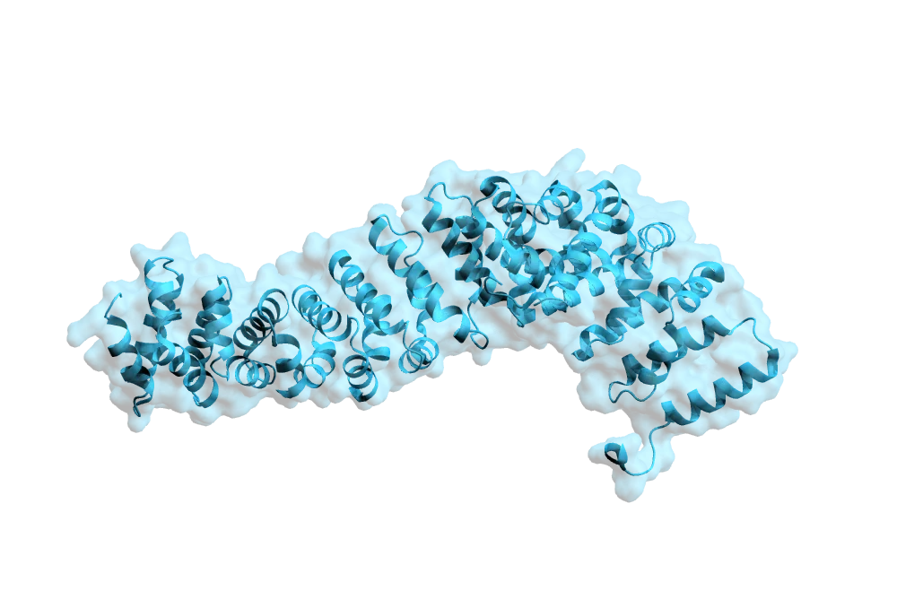 Recombinant β-catenin (CTNNB1) expression and purification provides an early handle for therapeutic targeting of the Wnt signalling pathway