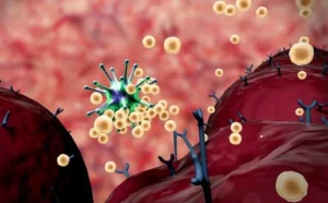 Inflammation & Immunology