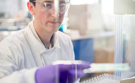 Primary Cells and Tissues