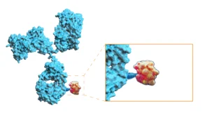 Our Learnings from World ADC London: Designing the Next Generation of Smarter, Safer ADCs