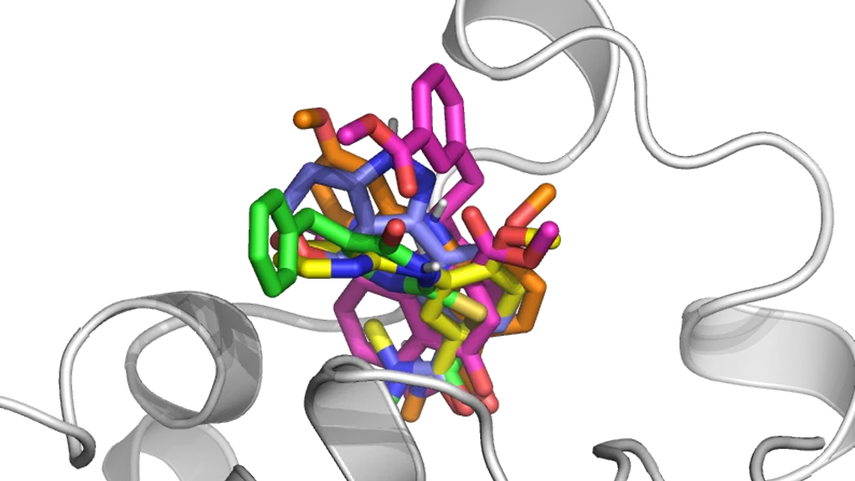 3D molecular structure visualization representing fragment-based drug discovery, highlighting binding interactions for early-stage drug design.
