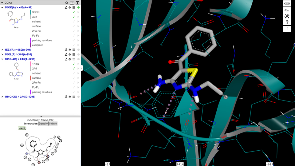 computational visualization of a ligand bound to a protein structure, illustrating structure-based drug design approaches for improved compound selectivity and potency.