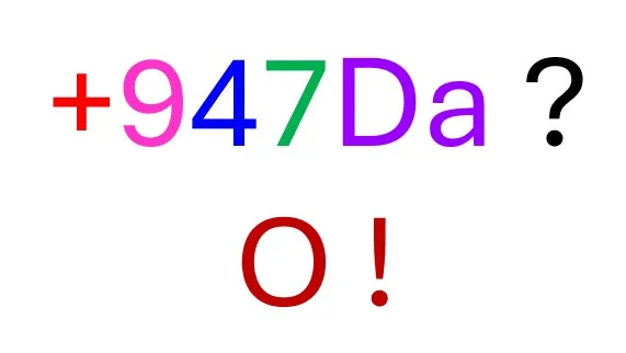 Identification of Novel Post Translational Modifications of a Recombinantly Expressed Peptide