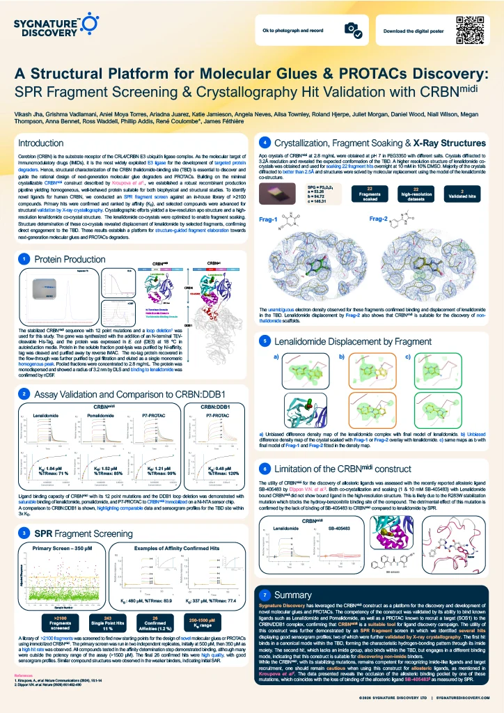 A Structural Platform for Molecular Glues and PROTAC Discovery